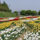 공릉천자전거도로변 이미지