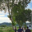 투데이25 | 25년 금산인삼축제 투데이 마라톤대회 참가후기, 세계 인삼축제 행사장, 금산지역맛집