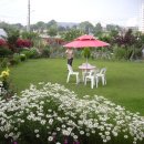 장미하우스 이미지