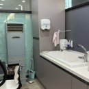 댕댕뷰티 이미지