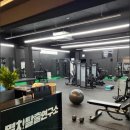 멸치탈출연구소 이미지