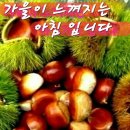 사랑을 노래한다 이미지