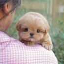 연제구-045 이미지