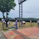 진도울돌목주말장터 이미지