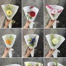 양재화훼공판장 화장실 | 양재시민의숲 ｜ 양재화훼공판장 꽃집 3곳 후기(심플라워·플로움·련플라워)