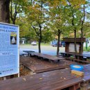 나리 야영장 옆 이미지