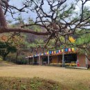 아름솔유치원 이미지