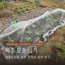 경남농약종묘사 | 부산 경남 김해 배추 모종 구매 및 해충 방지를 위한 한랭사 설치 내돈내산 후기
