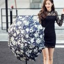 제이앤영