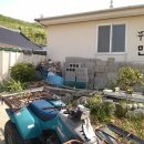 주선생민박 이미지