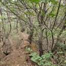 구미시 *삼각점-탱박산-봉정산-버스이동-산성산-만월산 왕복* (25.09.18) 이미지