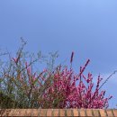 1급비손모터스공업사 이미지