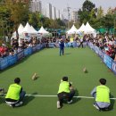 용허리근린공원 이미지