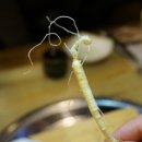 어인마니산삼궁 이미지