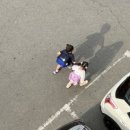 팡아트 이미지