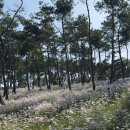 연수사화장실 이미지