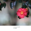 혜원3