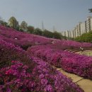 수리산역 이미지