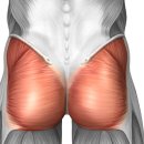 온더볼운동 이미지