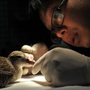 국립생태원동물병원 이미지