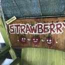 수문농장 이미지