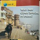 04 Why Are Cows Special In India? 이미지
