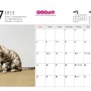 나무타는고양이 구경하는강아지 이미지