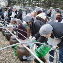 장단콩웰빙마루 이미지