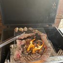 스테이 더 딜라잇 이미지