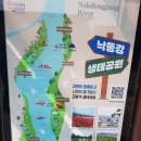 낙동강 지도 이미지