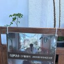 제주이즈 이미지