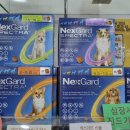 평택봄약국 이미지