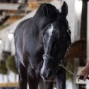 디케이팜 이미지