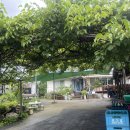 입석산장 | [제천가볼만한곳] 발 담그고 즐길 수 있는 계곡식당 제천 노목산장가든 솔직후기 내돈내산