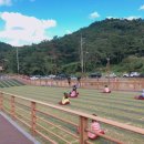 쇠평어린이공원 이미지