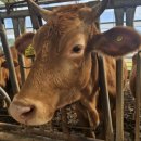 천안축산업협동조합배합사료공장 이미지