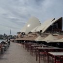 여가포크 | [호주 여행] 시드니 Day6 :: 오페라하우스 + 오페라 바 방문 후기!