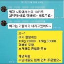 김정자농장 | 제주도 감귤에 관심 있는 분만, 과하게 솔직 후기입니다