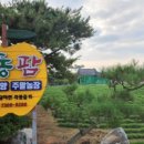 서동팜