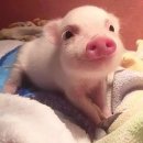 뉴욕필라테스& 요가 이미지