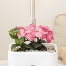 더케이야생화 - 용인시 처인구 전궁로16번길 41 | 더케이야생화