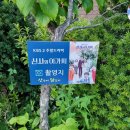 춘천산닭 산속에닭갈비 이미지