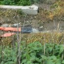 봉석농장 이미지