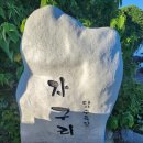 제주 삼도파초일엽 자생지 이미지