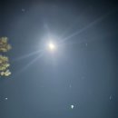 파크호텔 | 충주수안보온천 수안보파크호텔후기