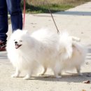 흑석 노루벌길 이미지