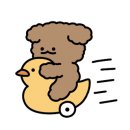 제니스펫 이미지