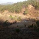 재궁농장 이미지