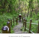 낙동정맥트레일 이미지