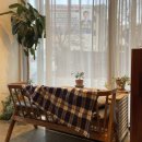 파이달램 이미지